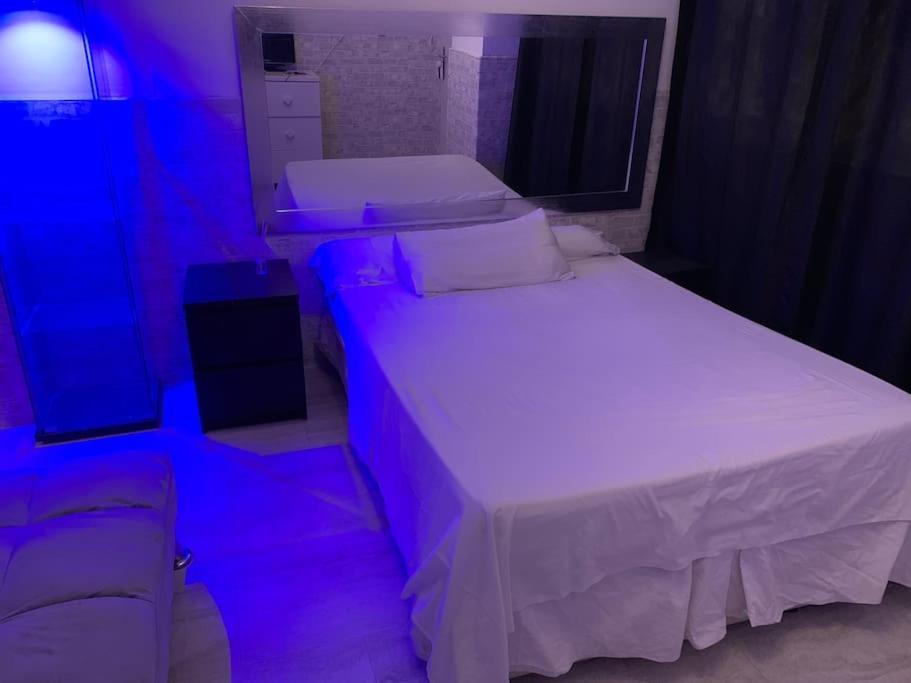 Estudio Con Entrada Independiente En Apartamento *